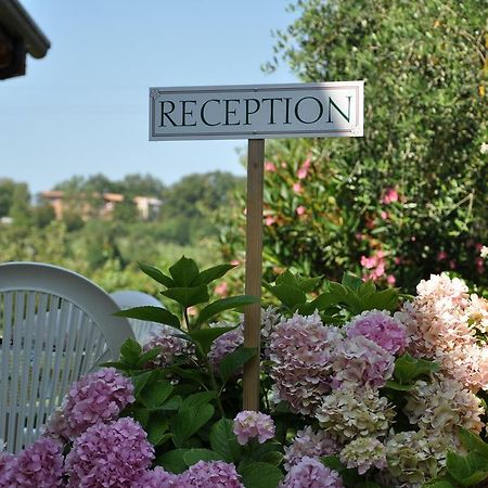 Agriturismo Ai Ciliegi バルドリーノ エクステリア 写真
