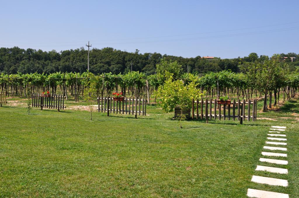 Agriturismo Ai Ciliegi バルドリーノ エクステリア 写真